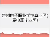 贵州电子职业学校毕业照(贵电职毕业照)