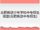 合肥叛逆少年学校中专招生简章(合肥叛逆中专招生)