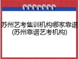 苏州艺考集训机构哪家靠谱(苏州靠谱艺考机构)