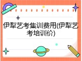伊犁艺考集训费用(伊犁艺考培训价)