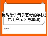 昆明集训音乐艺考的学校(昆明音乐艺考集训)