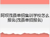 阿坝茂县单招集训学校怎么报名(茂县单招报名)