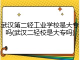 武汉第二轻工业学校是大专吗(武汉二轻校是大专吗)