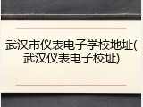 武汉市仪表电子学校地址(武汉仪表电子校址)