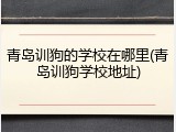 青岛训狗的学校在哪里(青岛训狗学校地址)