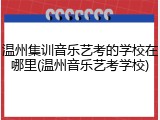 温州集训音乐艺考的学校在哪里(温州音乐艺考学校)