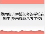 陇南集训舞蹈艺考的学校在哪里(陇南舞蹈艺考学校)