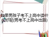 如果男孩子考不上高中读什么好呢(男考不上高中出路)