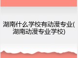 湖南什么学校有动漫专业(湖南动漫专业学校)