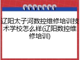 辽阳太子河数控维修培训技术学校怎么样(辽阳数控维修培训)