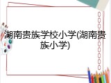 湖南贵族学校小学(湖南贵族小学)
