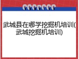 武城县在哪学挖掘机培训(武城挖掘机培训)