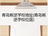 青岛叛逆学校地址(青岛叛逆学校位置)