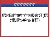 梧州训狗的学校哪家好(梧州训狗学校推荐)