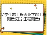 辽宁生态工程职业学院工程测量(辽宁工程测量)