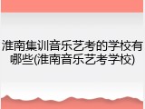 淮南集训音乐艺考的学校有哪些(淮南音乐艺考学校)