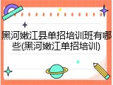 黑河嫩江县单招培训班有哪些(黑河嫩江单招培训)