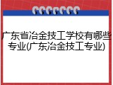 广东省冶金技工学校有哪些专业(广东冶金技工专业)