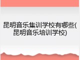 昆明音乐集训学校有哪些(昆明音乐培训学校)