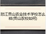 怒江贡山农业技术学校怎么样(贡山农校如何)