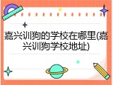 嘉兴训狗的学校在哪里(嘉兴训狗学校地址)