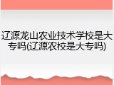 辽源龙山农业技术学校是大专吗(辽源农校是大专吗)