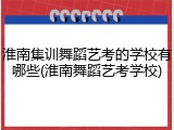 淮南集训舞蹈艺考的学校有哪些(淮南舞蹈艺考学校)