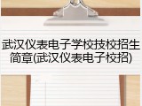 武汉仪表电子学校技校招生简章(武汉仪表电子校招)