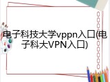 电子科技大学vppn入口(电子科大VPN入口)