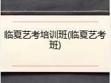 临夏艺考培训班(临夏艺考班)