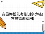 宜昌舞蹈艺考集训多少钱(宜昌舞训费用)