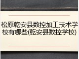 松原乾安县数控加工技术学校有哪些(乾安县数控学校)