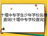 十堰中专学生少年学校名单查询(十堰中专学校查询)