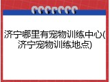 济宁哪里有宠物训练中心(济宁宠物训练地点)