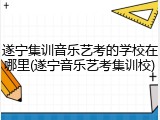 遂宁集训音乐艺考的学校在哪里(遂宁音乐艺考集训校)