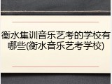 衡水集训音乐艺考的学校有哪些(衡水音乐艺考学校)