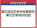 黄石培训艺考学校哪家好(黄石艺考培训优选)