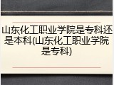 山东化工职业学院是专科还是本科(山东化工职业学院是专科)