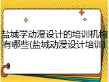 盐城学动漫设计的培训机构有哪些(盐城动漫设计培训)