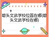 碧头文武学校位置在哪(碧头文武学校在哪)