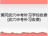 黄冈武穴中考补习学校收费(武穴中考补习收费)
