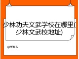 少林功夫文武学校在哪里(少林文武校地址)