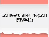 沈阳摄影培训的学校(沈阳摄影学校)