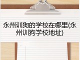 永州训狗的学校在哪里(永州训狗学校地址)