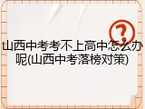 山西中考考不上高中怎么办呢(山西中考落榜对策)