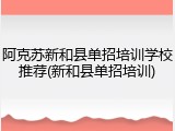 阿克苏新和县单招培训学校推荐(新和县单招培训)