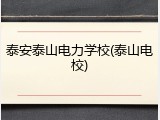 泰安泰山电力学校(泰山电校)