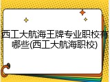 西工大航海王牌专业职校有哪些(西工大航海职校)