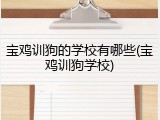 宝鸡训狗的学校有哪些(宝鸡训狗学校)