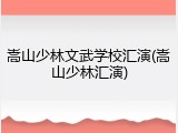 嵩山少林文武学校汇演(嵩山少林汇演)